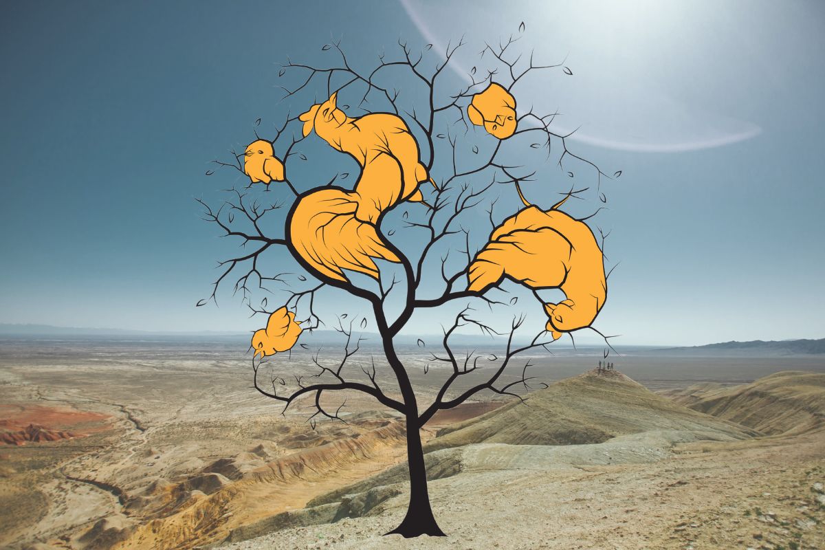 visual challenge - find the 4 poultry hidden in this tree - solution