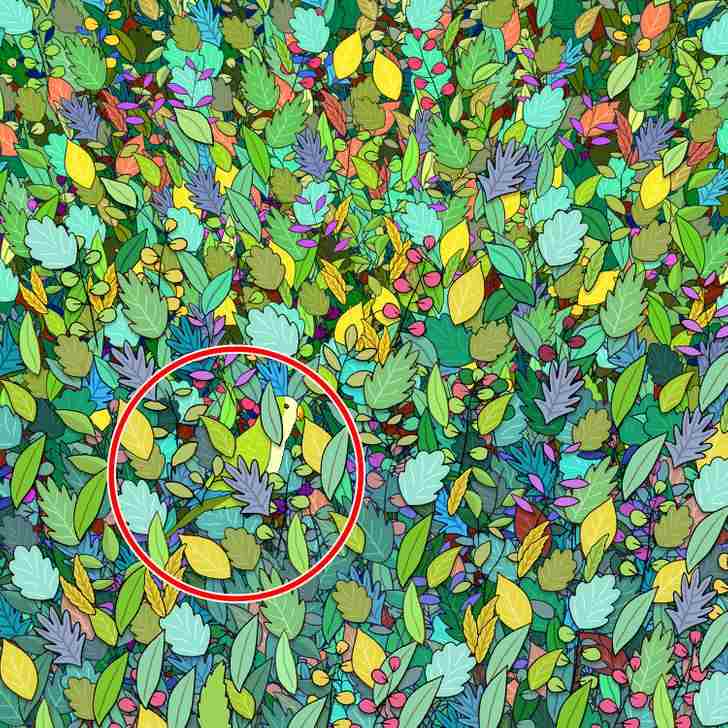 Answer: the bird was located at the bottom left of the image!  Did you spot it?