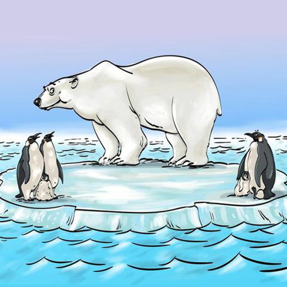 Solución del oso polar